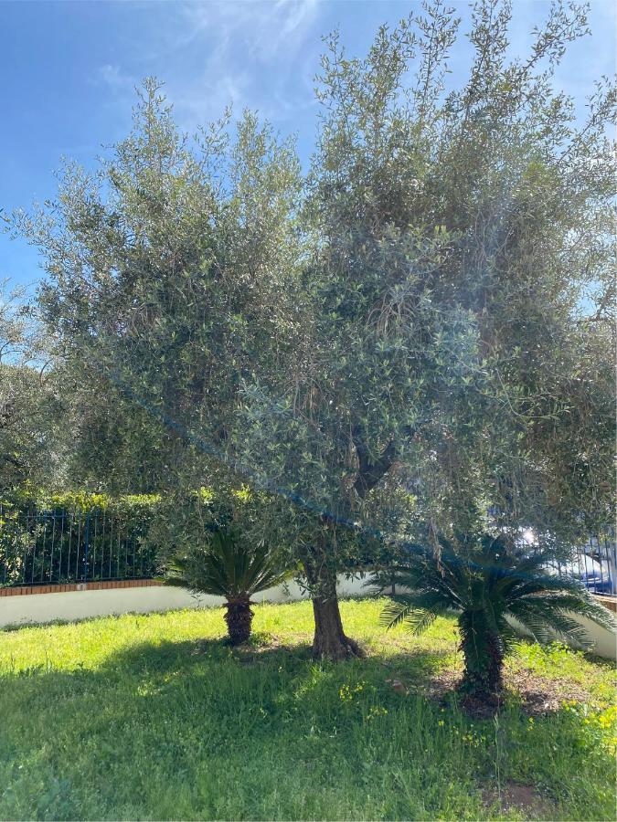 Residenza Le Spiagge Apartment Sperlonga Luaran gambar