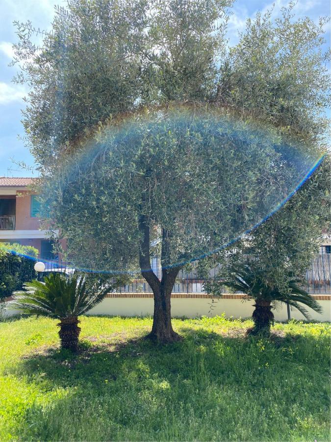 Residenza Le Spiagge Apartment Sperlonga Luaran gambar